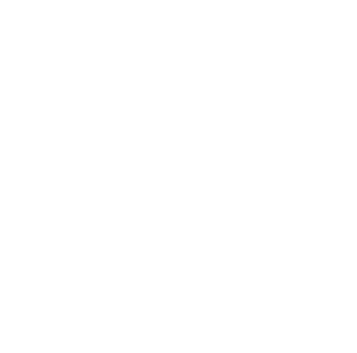 AI partner